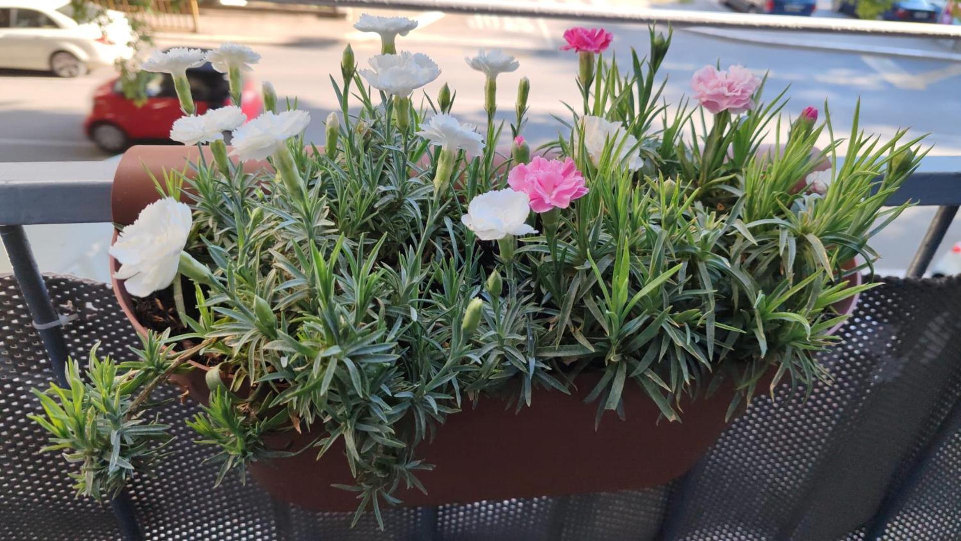 Apartman Valeria سبليت المظهر الخارجي الصورة